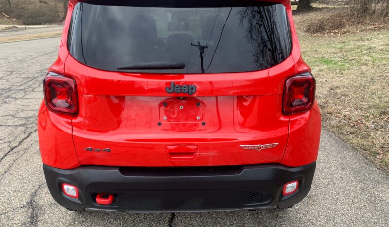 
								2019 JEEP RENEGADE full									