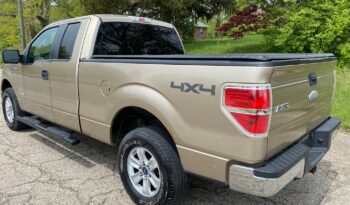 
									2012 FORD F-150 full								